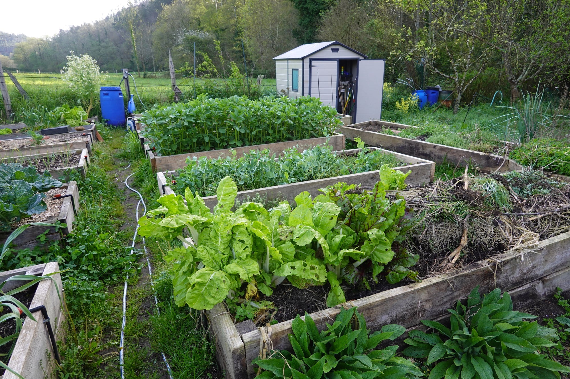 Permakultur im Garten anlegen – nachhaltig gärtnern im eigenen Garten